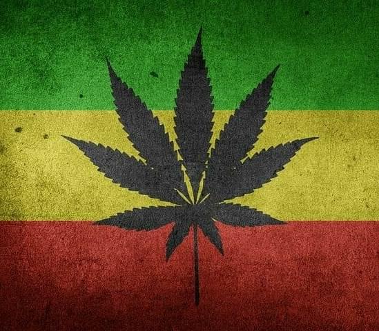 3OzAAA+1oz Exotic shak+free delivery