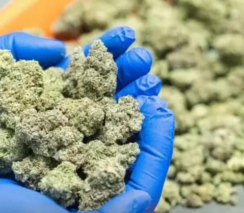 $1200 for 1LB A+ Fresh Cut MIX&MATCH