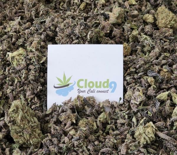 $60 1oz Designer Shake