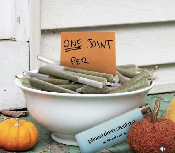 FAN FAVORITE:$250 for 4 Oz Flower Bundle + FR