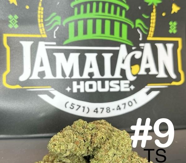 16oz 🔥SPECIAL + 4oz free indoor shak