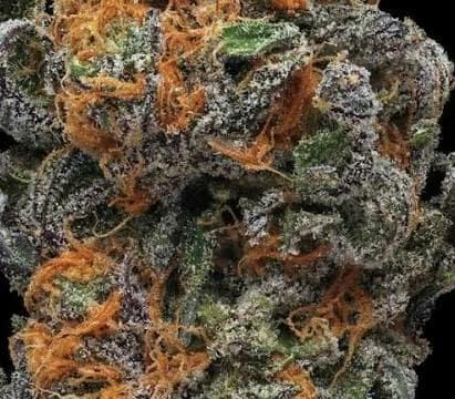 7oz 🔥Topshelf + 3oz Shake Gift 🎁