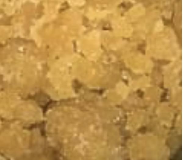 10g Crumble  $80