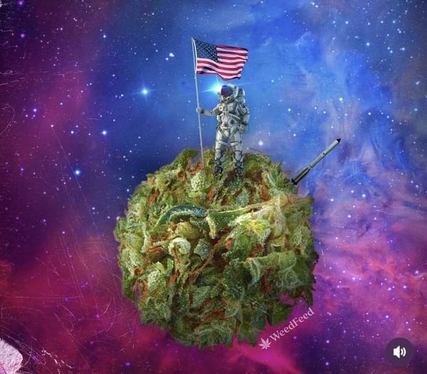 - 1 Oz Designer Indoor + 1 Oz Shake + 10 Pre