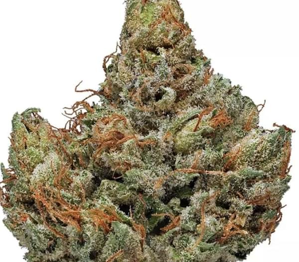 $1400 For 1Lb A+'s & 6oz Exotic Shake Gifts