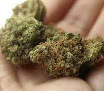 $180 ANY 3 HALF Of AAA + pre rolls