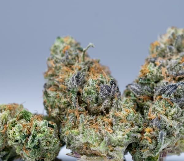 $460 for 4oz A+ and 1oz free shake