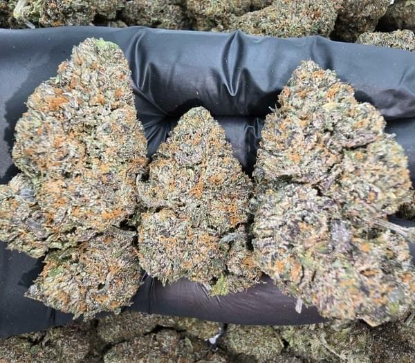 $180 2 DIFFERENT 1/2  AAA+  &1/2 oz shake