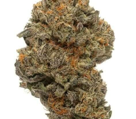 $220 For 3 halves of A+ FREE Delivery