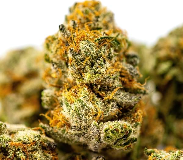 - 4 Half’s - TOPSHELF + 1 Oz free shake