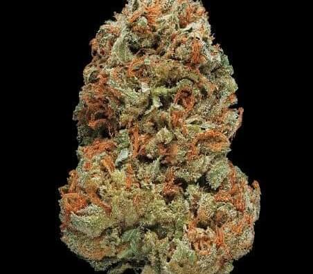 $80 For 2 Quarters A+ & 2 Prerolls Gift