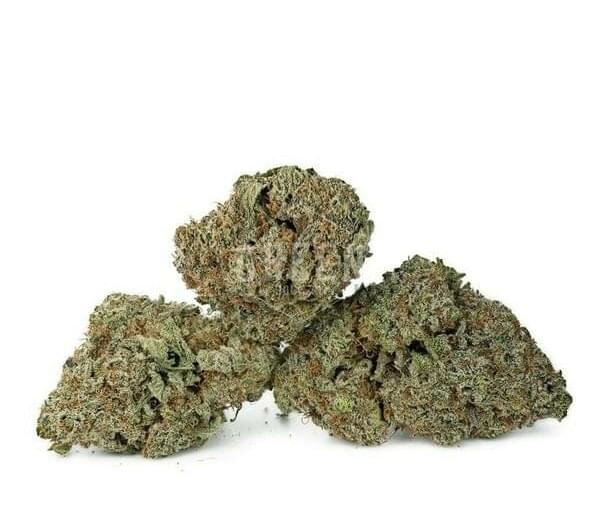 - 5 OZ TOP SHELF - MIX&MATCH + Oz SHAKE