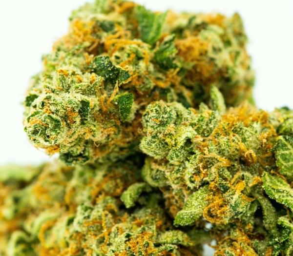 Four different half-ounce flower varieties.