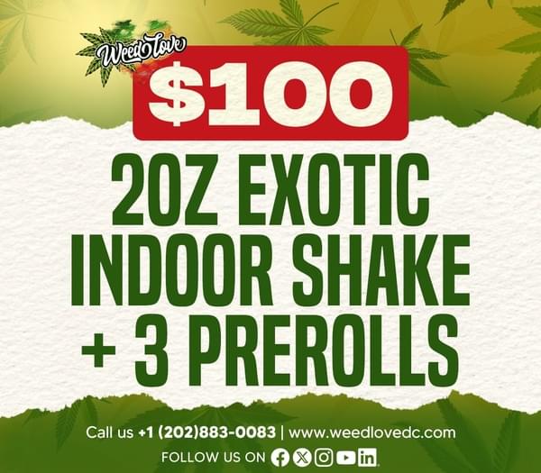 2 Oz - DESIGNER INDOOR SHAKE