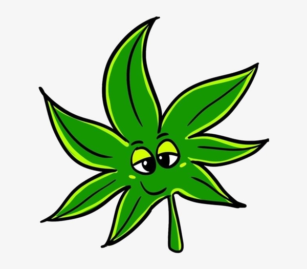 $370=10 edible gummy + 10 carts 🔥free 🚚