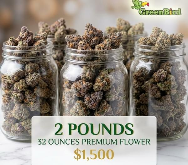 🔥 2 POUNDS = $1,500 *
