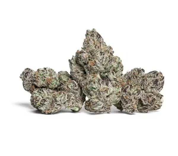 - 2 Exotic quarters + 5 Infused Pre-roles