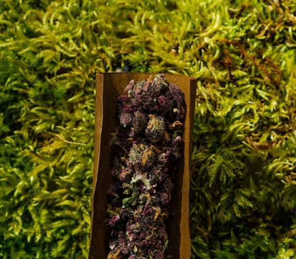 - 15 Exotic Infused Prerolls - Free Delivery