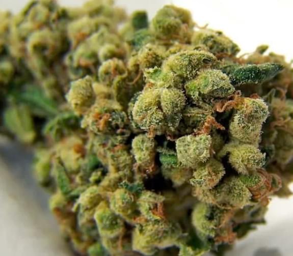 $540 for 6oz top shelf +FREE  2 oz shake