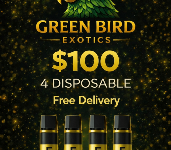 🔥 4 Exotic Disposables for Just $100 — D