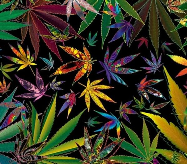 - 1 Oz Topshelf + 1 Oz AAA + Free Oz Shake