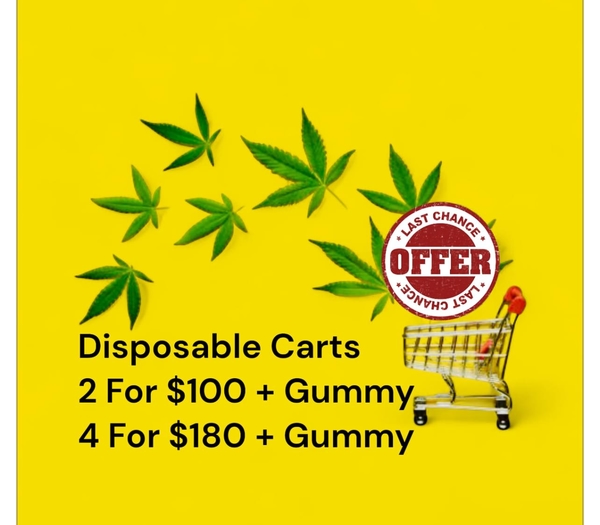 Disposable 2g Carts 4 For $180 + Gummy