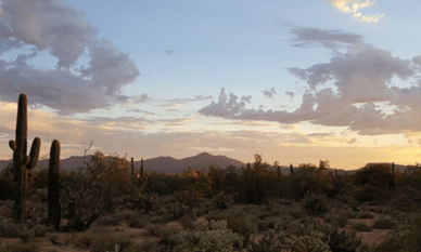 Tucson, AZ | Marijuana Travel Guide