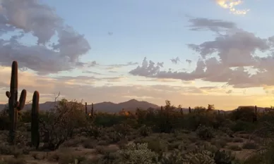 Tucson, AZ | Marijuana Travel Guide