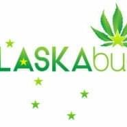 Alaska Buds