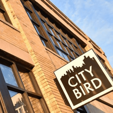 City Bird