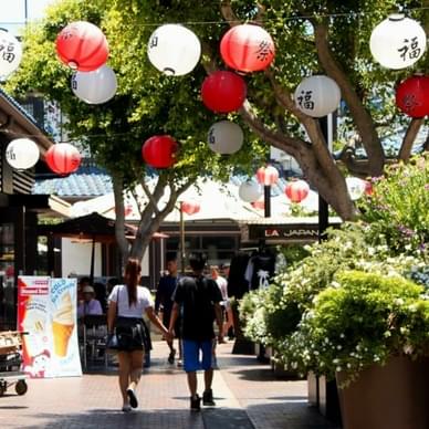 Little Tokyo and Chinatown