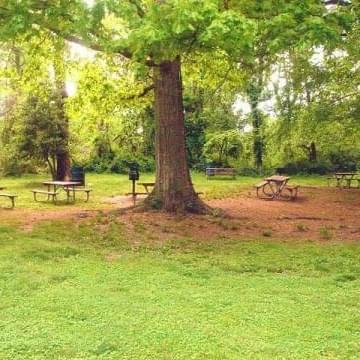 Mason District Park