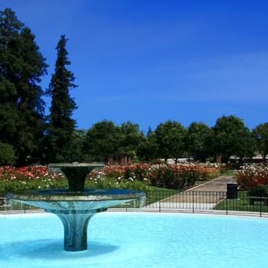 Municipal Rose Garden