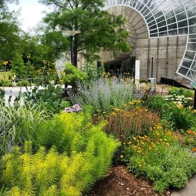 Myriad Botanical Gardens 