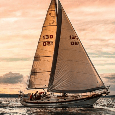 Sailing Yacht Scout - Day Tours