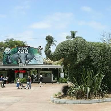 San Diego Zoo 