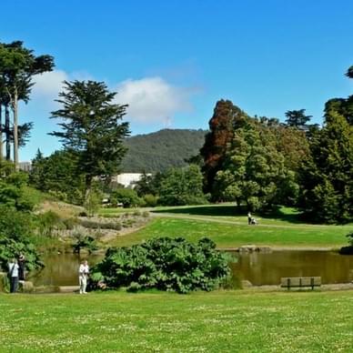 San Francisco Botanical Garden
