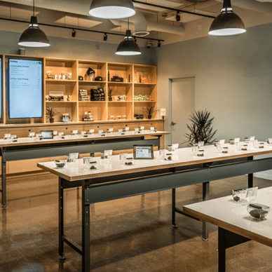 Sierra Wellness Connection