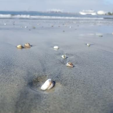 Spend A Day At The Beach 