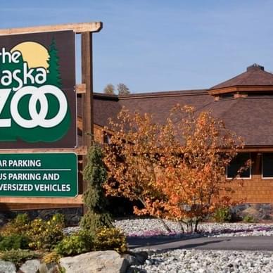 Stop By the Alaska Zoo