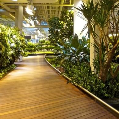 Stroll Around the Devonian Gardens