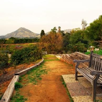 UC Riverside Botanic Gardens
