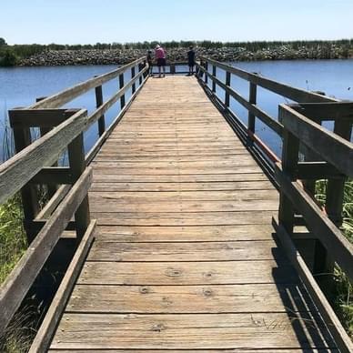 Visit The California Delta