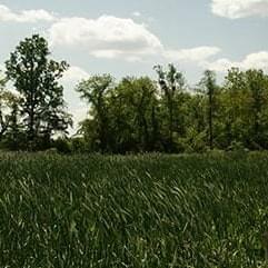 Walking/Biking Trails