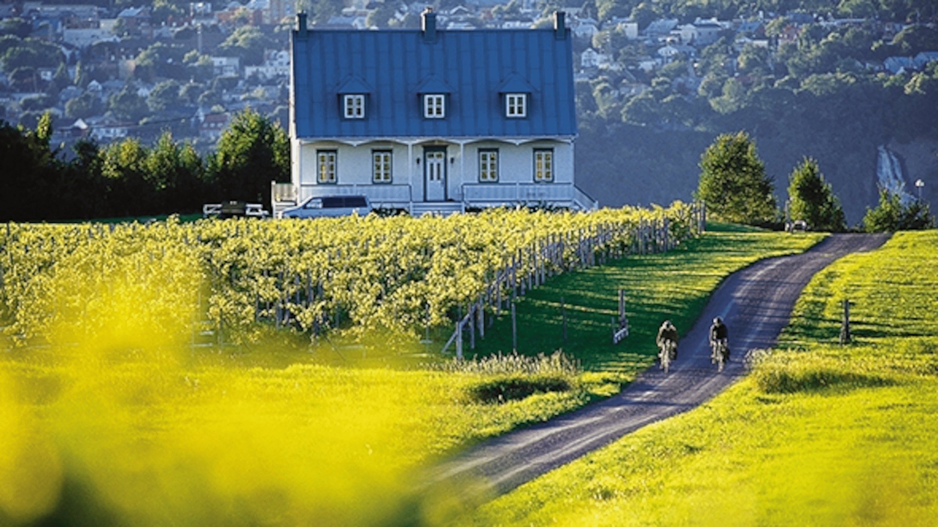Shop Local at the Île d'Orléans