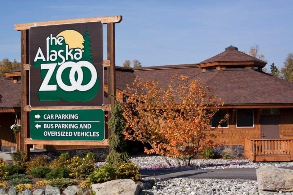 Stop By the Alaska Zoo