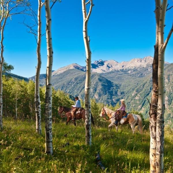 Take a Tour of Vail Mountain by Horseback 