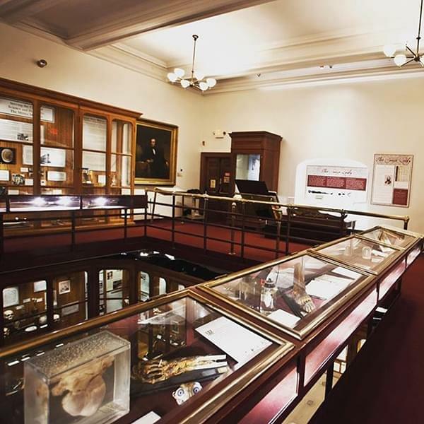 Visit the Mutter Museum
