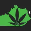 Kentucky Cannabis Docs | Medical Marijuana Card DoctorThumbnail Image