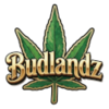 BudlandzThumbnail Image
